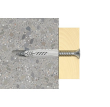 Dübel mit Schraube in Beton und Holz