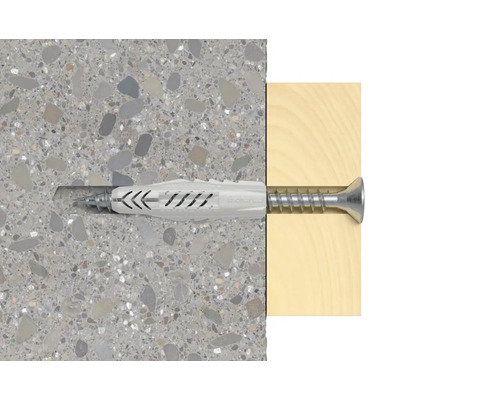 Fischer Dübel mit Schraube in Beton und Holz