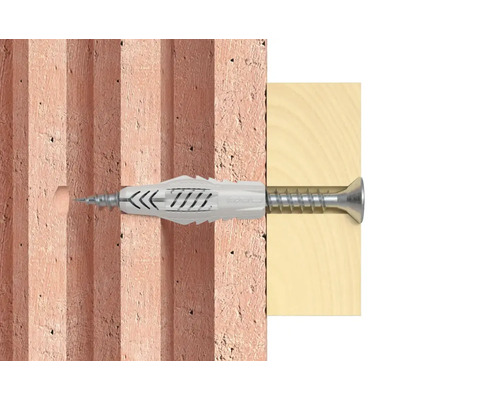 Universaldübel mit Schraube in Wand und Holz