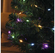 Lichterkette mit verschiedenfarbigen Lichtern an einem Weihnachtsbaum