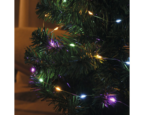 Lichterkette mit verschiedenfarbigen Lichtern an einem Weihnachtsbaum