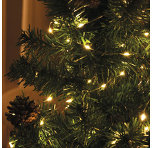 Weihnachtsbaum geschmückt mit Lichterkette und Tannenzapfen
