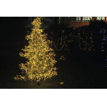 Beleuchteter Weihnachtsbaum im Freien