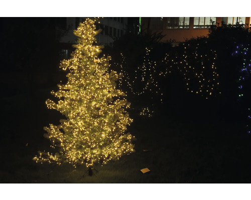 Beleuchteter Weihnachtsbaum im Freien