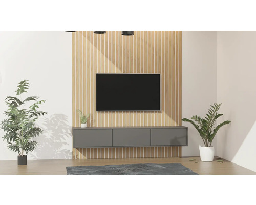 Wohnzimmer mit Fernseher, Lowboard und Zimmerpflanzen