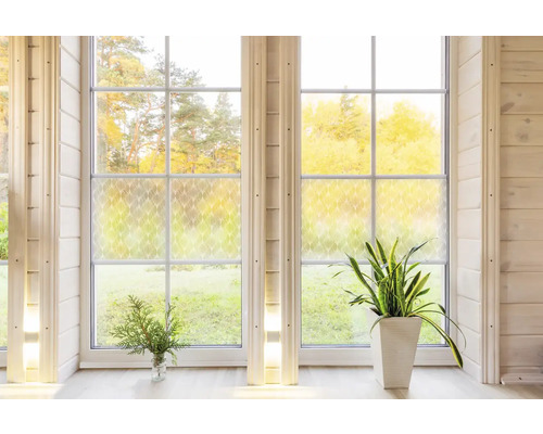 Dekorfolie auf Fenster in einem hellen Raum mit Pflanzen