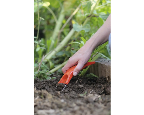 Gartenwerkzeug zum Jäten von Unkraut im Einsatz