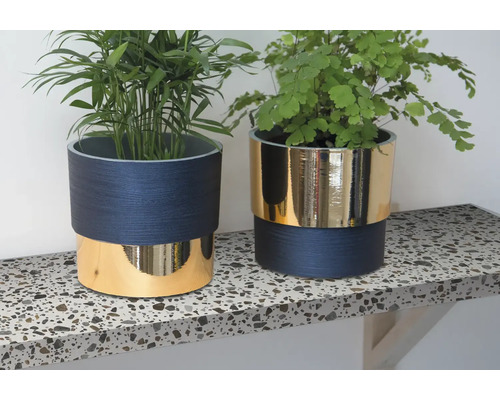 Zwei Zimmerpflanzen in Dekorationstöpfen auf einem Regal