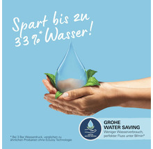 Hände halten einen Wassertropfen, der von Blättern umgeben ist. Grohe Wassersparhinweis.