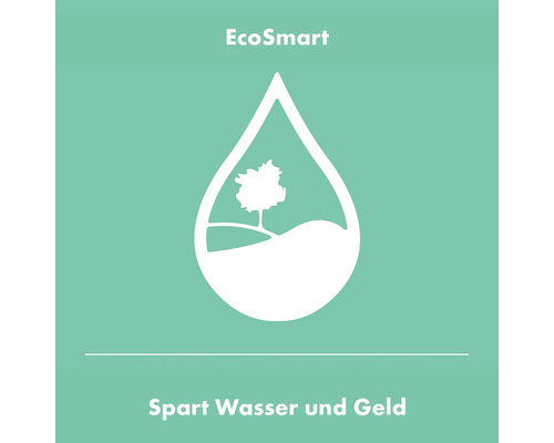 EcoSmart Symbol: Spart Wasser und Geld.