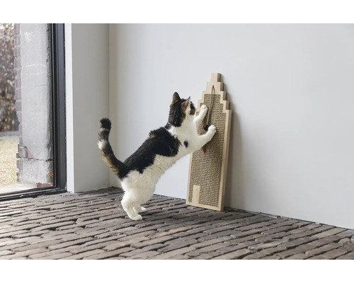 Katze kratzt an einem Kratzbaum aus Sisal in Form eines Hauses.