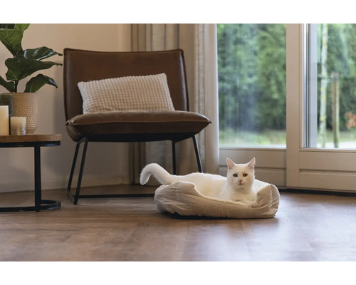 Helle Wohnung mit Katze in einem Tierbett, Sessel und Beistelltisch