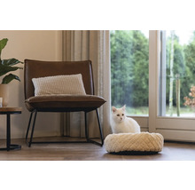 Wohnraum mit Sessel, Kissen und Katzenbett mit Katze
