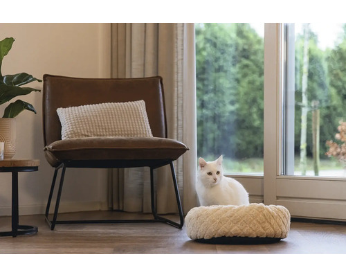 Wohnraum mit Sessel, Kissen und Katzenbett mit Katze
