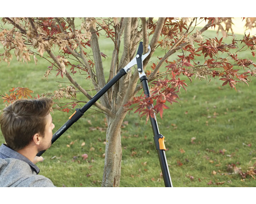 Mann schneidet Baum mit einer Teleskop-Astschere.