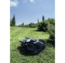 Mähroboter auf einer Rasenfläche im Garten