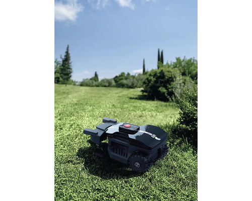 Mähroboter auf einer Rasenfläche im Garten