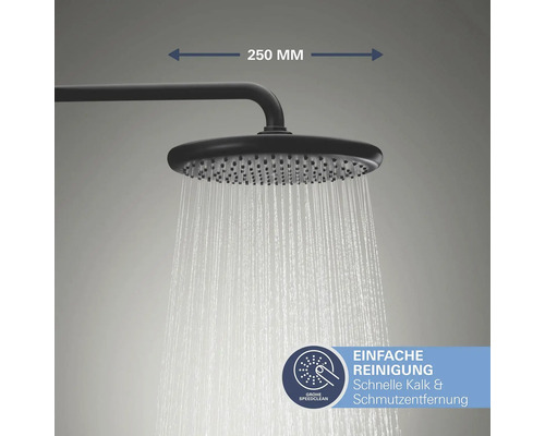 Brausekopf mit Antikalkfunktion und einer Länge von 250 Millimetern.