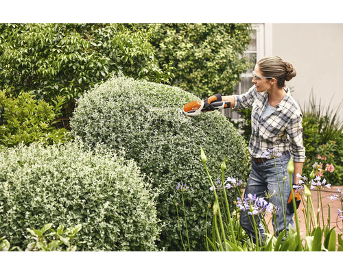Frau schneidet Buchsbaum mit einer Akku-Strauchschere im Garten