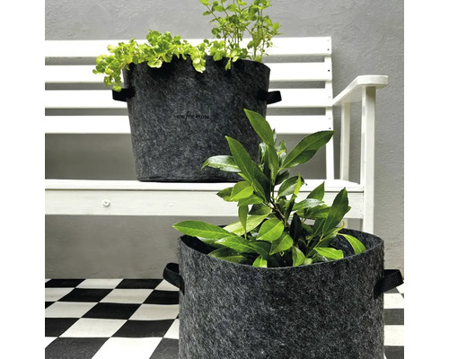 Zwei Pflanzgefäße aus Filz mit Pflanzen auf einer Bank