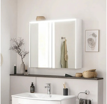Badezimmer mit Spiegelschrank, Waschbecken und Dekoartikeln