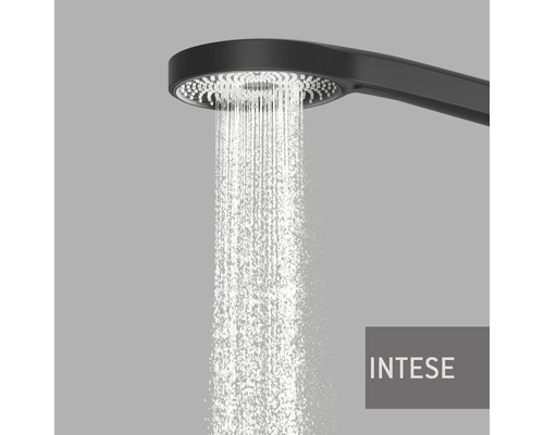Intese Handbrause mit Wasserstrahl