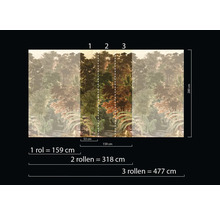 Fototapete mit Waldmotiv und Größenangaben