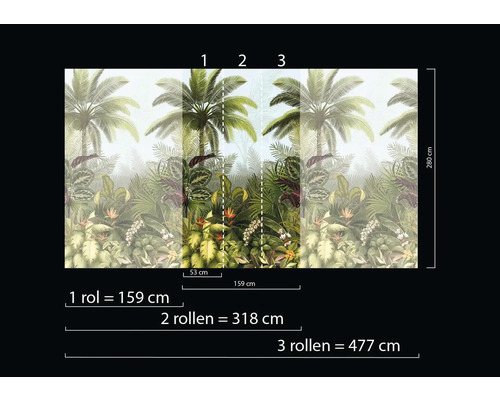 Tropische Fototapete mit Palmen und Pflanzen, Größenangaben für eine, zwei oder drei Rollen.