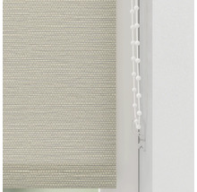 SOLUNA Tageslichtrollo D12 Struktur sand 50x190 cm