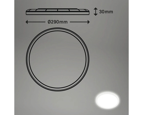 Technische Zeichnung einer runden Deckenleuchte mit einem Durchmesser von 290 mm und einer Höhe von 30 mm.
