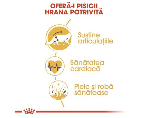 Das Bild wirbt für Katzenfutter, das die Gesundheit der Gelenke, die Herzgesundheit sowie eine gesunde Haut und ein gesundes Fell unterstützt.