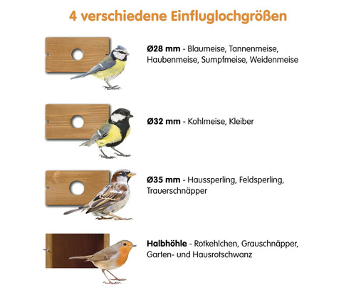 Informationen zu verschiedenen Einfluglochgrößen für Vogelhäuser und passende Vogelarten.