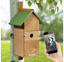 Vogelhaus mit Kamerafunktion am Baum, betrachtet über Smartphone