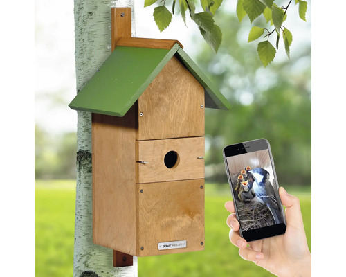 Vogelhaus mit Kamerafunktion am Baum, betrachtet über Smartphone