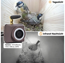 Vogelhaus-Kamera mit Tageslicht- und Infrarot-Nachtsicht-Funktion