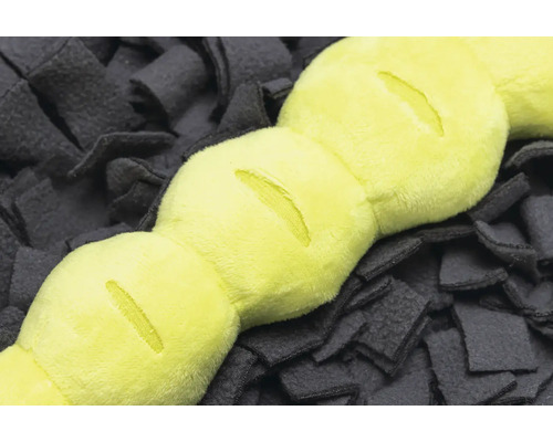 Hundespielzeug Raupe auf einer Schnüffelmatte für Hunde