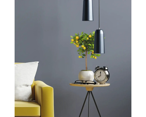 Dekoratives Interieur mit Zitronenbaum, Tischleuchte, Tisch und Sofa.