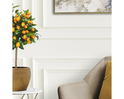 Künstlicher Kumquatbaum im Topf als Dekoration