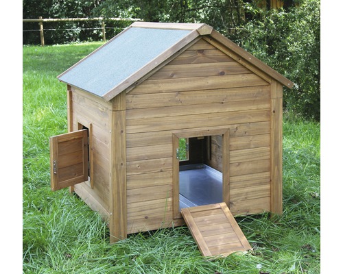 Holz-Hundehaus mit Giebeldach und offener Tür auf Rasen