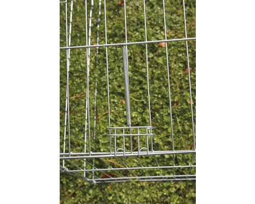 Detailansicht einer Drahtgitterfalle mit Federverschluss.