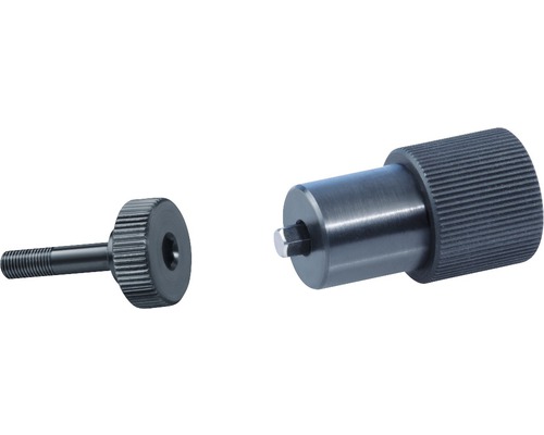 Zwei Rändelschrauben aus Metall