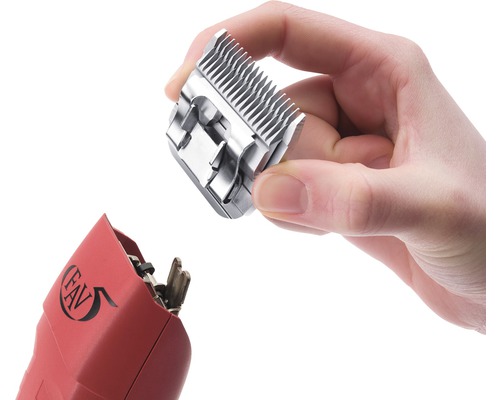 Austauschbarer Scherkopf für eine Tierhaarschneidemaschine wird von einer Hand gehalten.