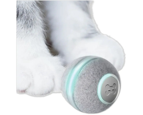 Katzenspielzeug Ball mit Tatzen