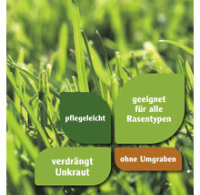 Nachsaatrasen FloraSelf Rasensamen 240 g für 10 m²
