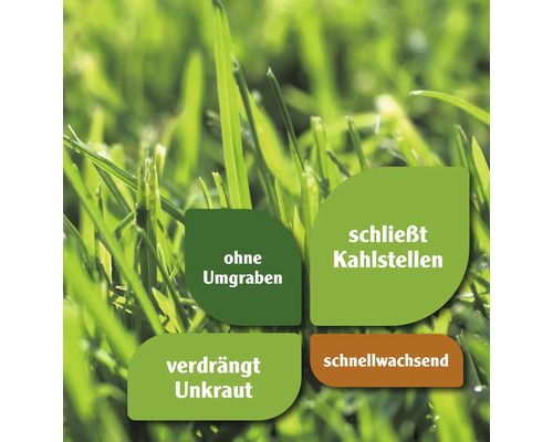 Informationen zum Rasen: kein Umgraben, schließt Kahlstellen, verdrängt Unkraut, schnellwachsend