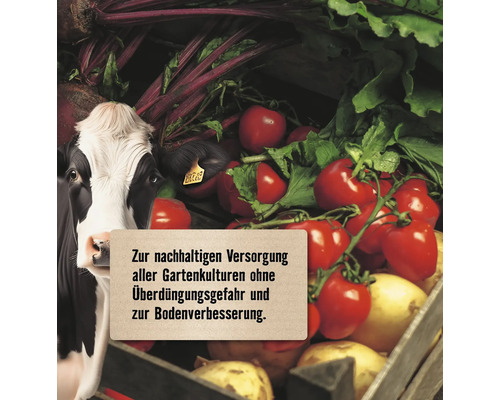 Illustration einer Kuh mit Gemüse wie Rüben und Tomaten für nachhaltige Gartenversorgung und Bodenverbesserung