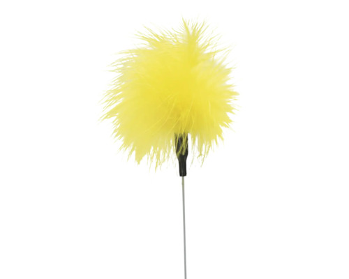 Katzenangel mit gelben Federn