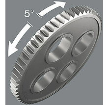 Zahnrad mit 5 Grad Verstellwinkel
