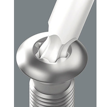 Schraube mit Innenvielzahnkopf und Werkzeug im Einsatz
