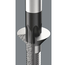 Detailansicht einer Schraube mit Torx-Antrieb und Schraubenkopf